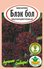 василек блек бол
