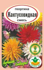георгина кактусовидная смесь
