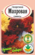 георгина махровая смесь