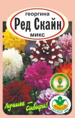 георгина ред скайн микс