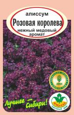 алиссум розовая королева