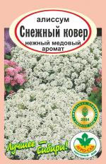 алиссум снежный ковер