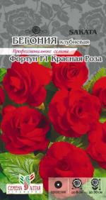 бегония фортун красная роза