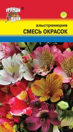 Альстремерия   СМЕСЬ ОКРАСОК