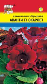 Глоксиния   гибридная  АВАНТИ F1  СКАРЛЕТ