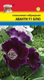 Глоксиния   гибридная  АВАНТИ F1  БЛЮ