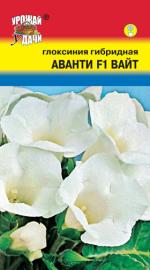 Глоксиния   гибридная  АВАНТИ F1  ВАЙТ