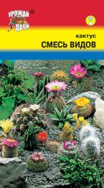 Кактус   СМЕСЬ ВИДОВ