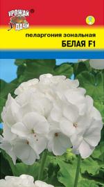 Пеларгония   зональная   БЕЛАЯ F1