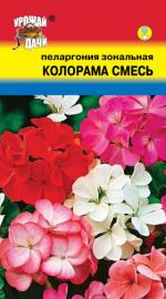 Пеларгония   зональная   КОЛОРАМА  Смесь