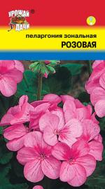 Пеларгония   зональная   РОЗОВАЯ