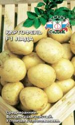 картофель лада
