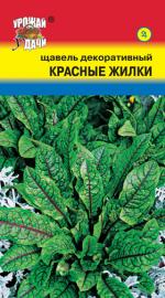 цв.мног. ЩАВЕЛЬ КРАСНЫЕ ЖИЛКИ ДЕКОРАТИВНЫЙ ПРИГОДЕН В ПИЩУ / Урожай у Дачи / НОВИНКА !!!