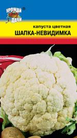 капуста цв. ШАПКА - НЕВИДИМКА Скороспелая для длительного хранения / Урожай у Дачи /