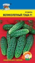 огурец ВЕЛИКОЛЕПНЫЙ ГОША F-1 устойчив к перепадам температур и неблагоприятным условиям / Урожай у Дачи /