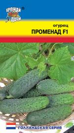 огурец ПРОМЕНАД F1 (ТИП МАША) Ультраранний устойчив к пониженным температурам / Урожай у Дачи /